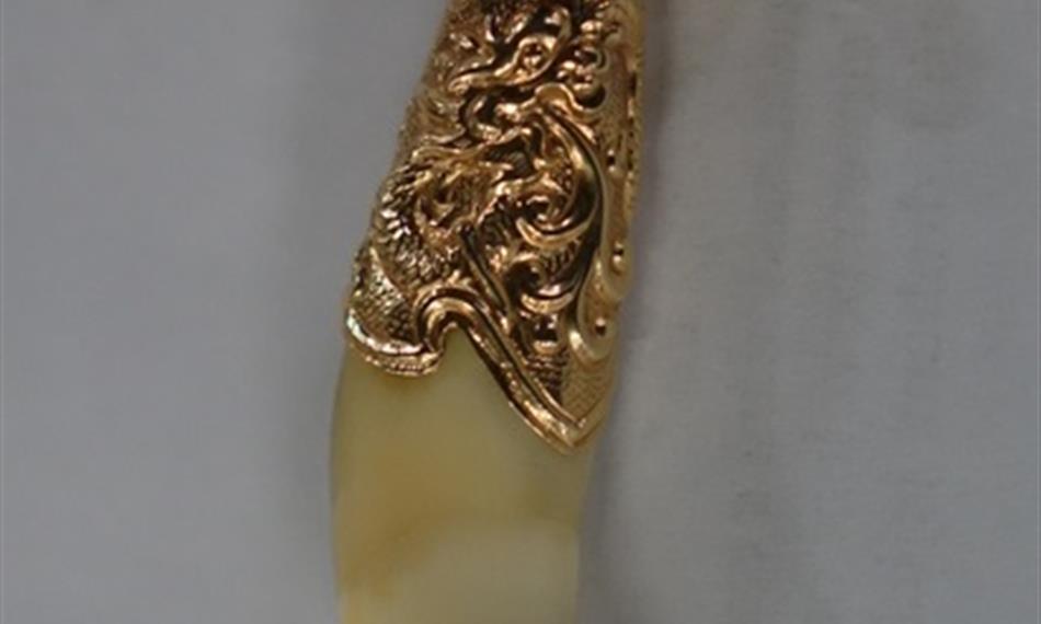 2016-6-28-817foto 8.JPG